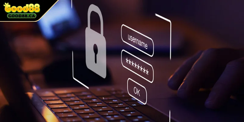 Bảo mật tài khoản người dùng