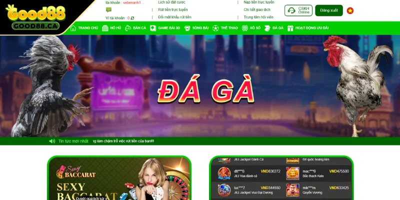 Đá gà GOOD88 - Sân chơi cá cược uy tín và chuyên nghiệp