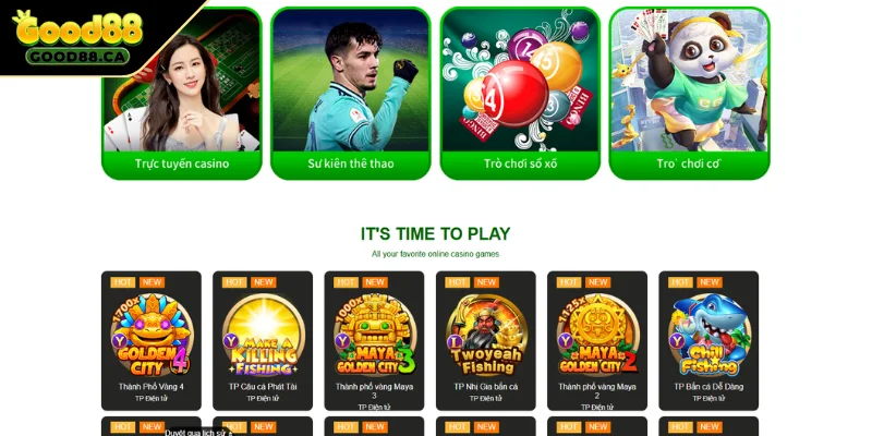 Lượng người truy cập website quá tải